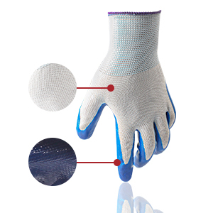 auto trim removal set