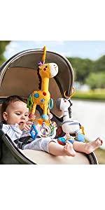 Baby Toys for 0,3,6,9,12 Months