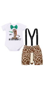 giraffe Birthday Outfit 