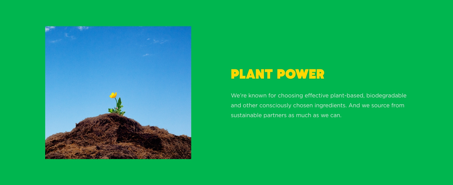 Ecover plant based ingredients 