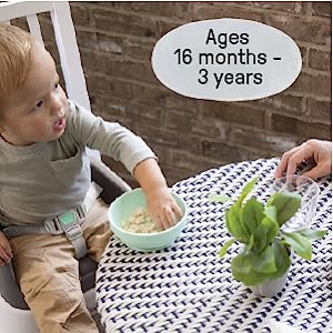 SmartClean Toddler Booster - Slate Ingenuity