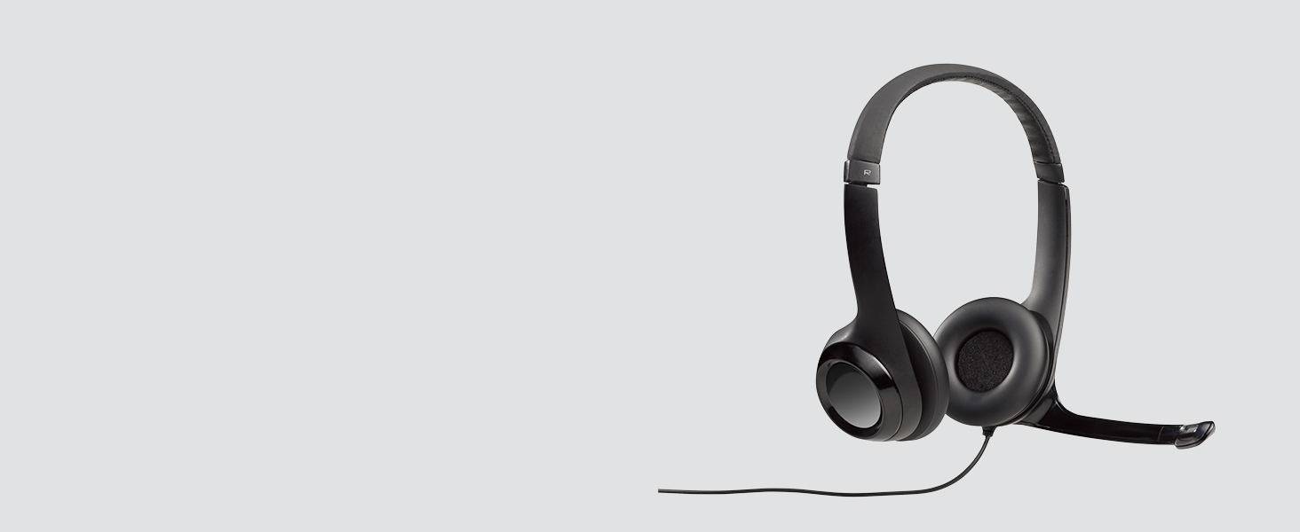 LOGITECH WIRELESS H390 HEADSET