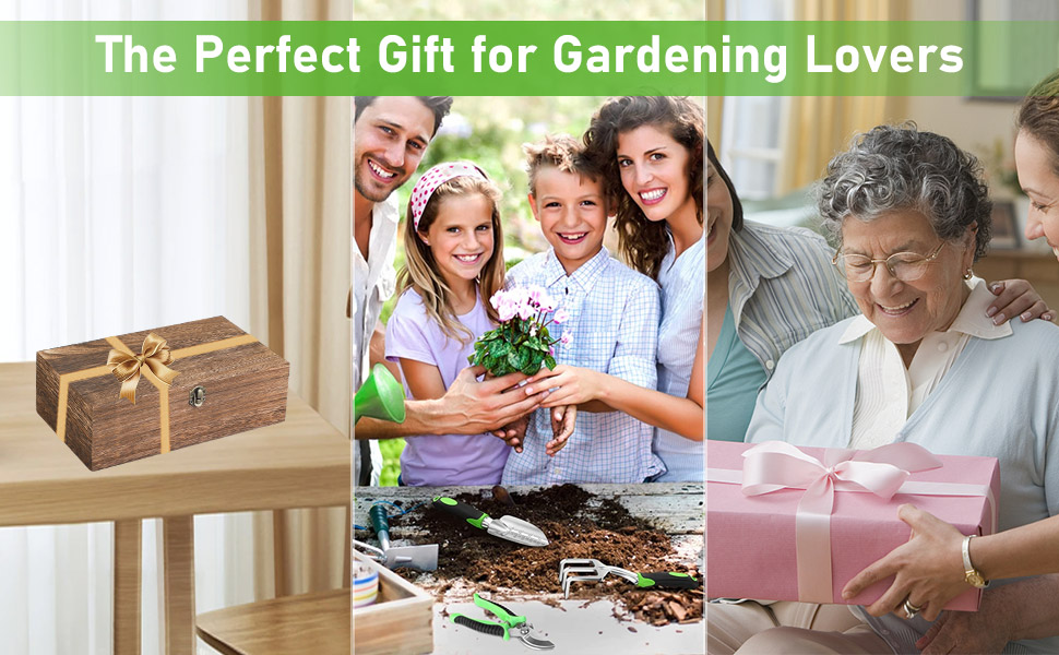 perfect gift
