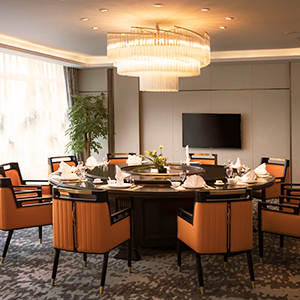 g9 capsule bulb 28w g9 dimmable halogen bulb g9 bulb dimmable electric wax burner bulb 240v 30w bulb