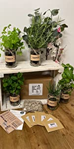 Indoor Herb Garden - Kids Gardening Set