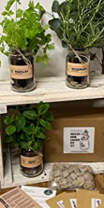 Indoor Herb Garden - Kids Gardening Set