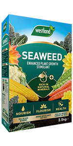 seaweed plant stimulant