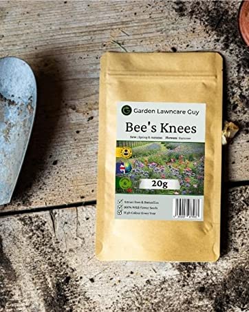 UK Native Wild Flowers - Wildflower Meadow Seed Mix - Easy to Grow British Wildflowe...