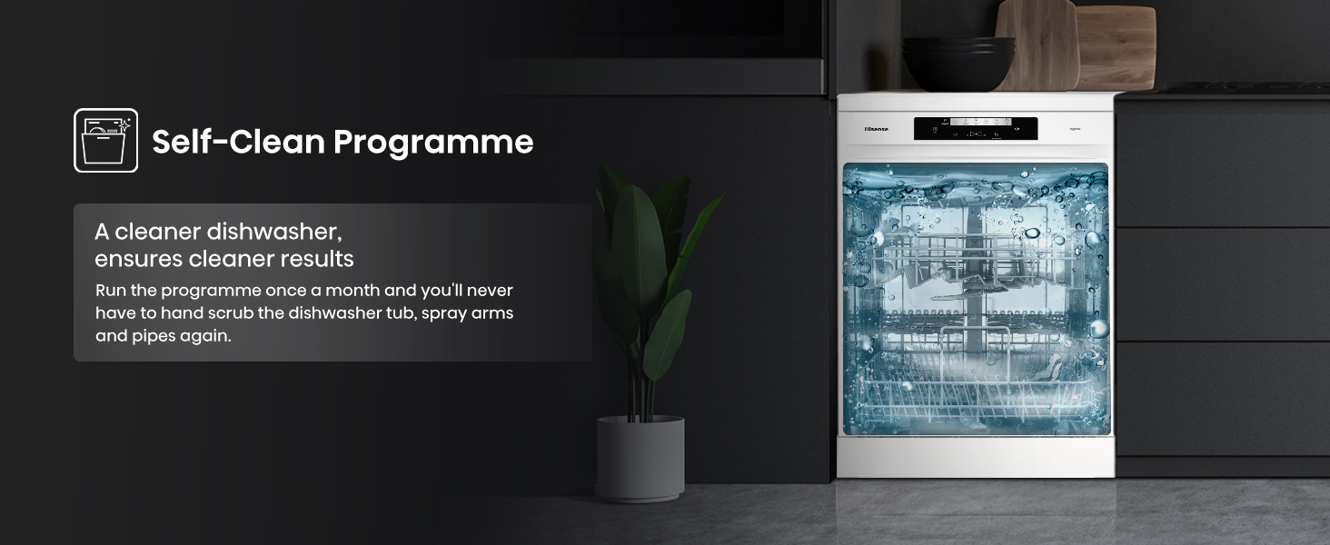 Self Clean Programme