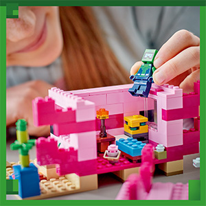 21247_Minecraft