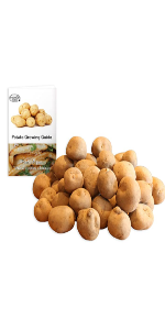 Maris Piper Seed potatoes