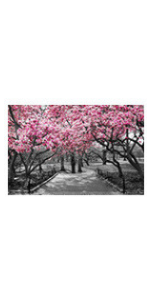 canvas prints