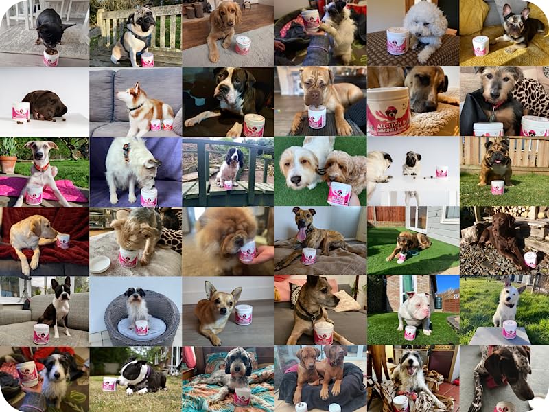 NutriPaw All Itch Immunity