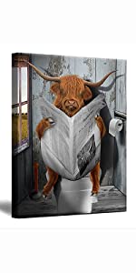 Highland Cattle Cows