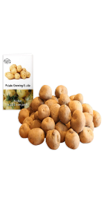 rocket seed potatoes
