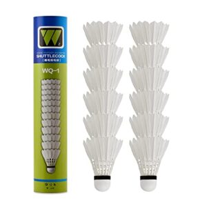 BAIHUALIN WHiZZ Badminton Shuttlecocks Goose Feather for Beginner & Recreational Games