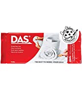 DAS Logo