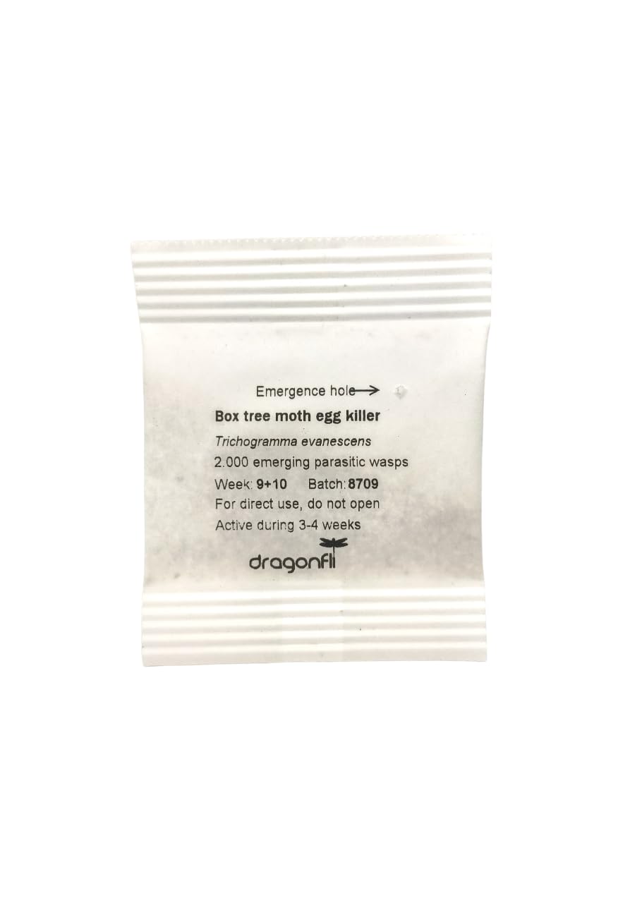 Dragonfli Box Tree Moth Egg Killer Sachet - Trichogramma Parasitic Wasps - Control Box Tree Moths Naturally - Each Sachet Covers 10m2