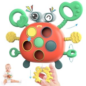BCOOSS Baby Montessori Toys for 1 Year Old
