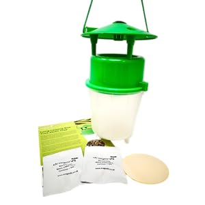 Box Tree Moth Egg Killer Sachet In Hedge