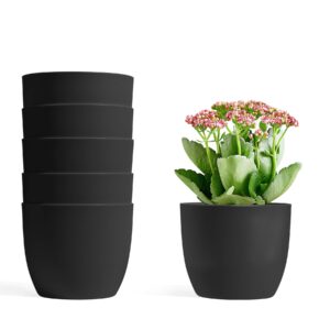 T4U 12CM Self Watering Planters Plastic Black Set of 6