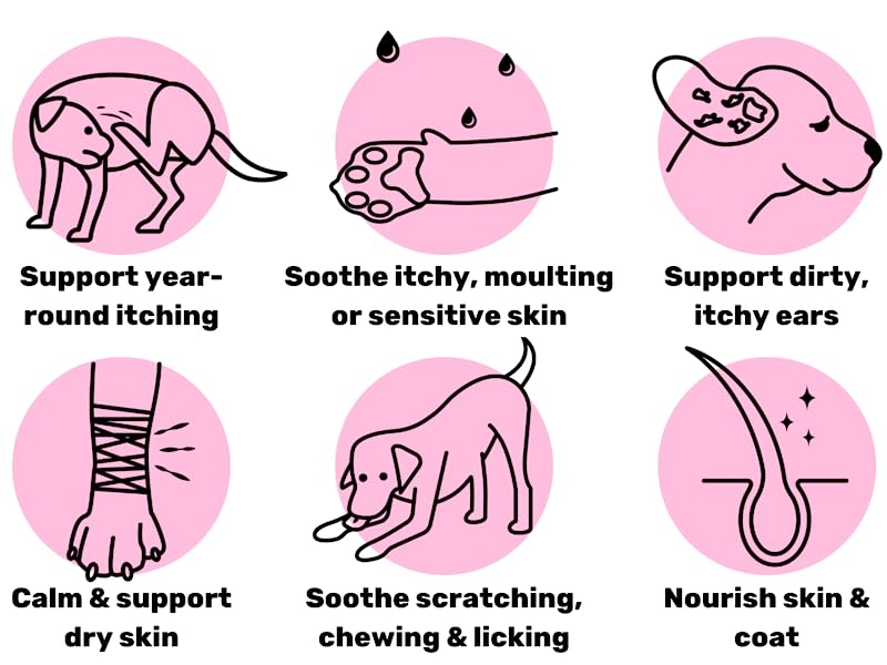 NutriPaw All-Itch & Immunity Treats