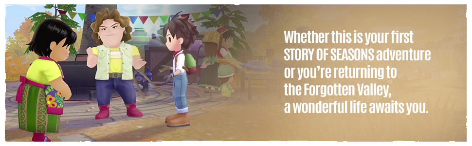 Story of Seasons Wonderful Life