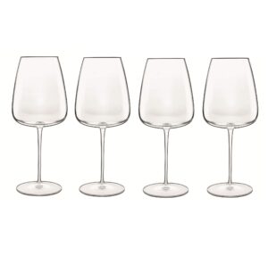Luigi Bormioli Red Wine Glasses Set of 4 - Talismano Crystal Wine Glasses 700ml