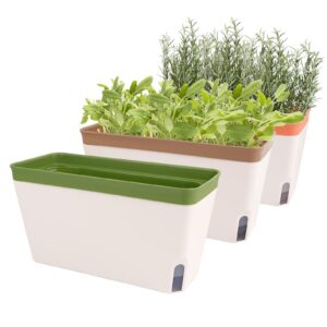 Fayavoo Self Watering Plant Pots