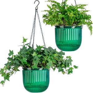 Josteve 6.5 Inch 2 Pcs Self Watering Hanging Planter Indoor Plant Hanging Pots with Drainage Holes