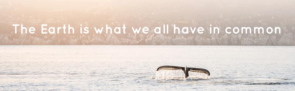 insulated botte, thermos bottle, stainless steel flask, cold water bottle, non plastic water bottles