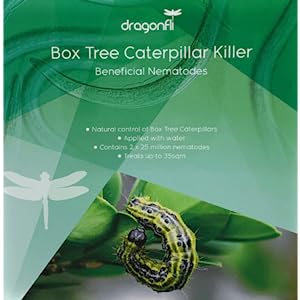 Dragonfli Box Tree Moth Egg Killer Sachet