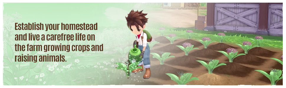 Story of Seasons Wonderful Life