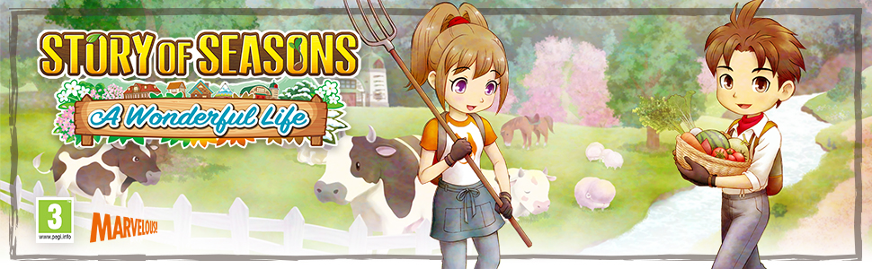 Story of Seasons Wonderful Life
