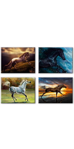 horse image