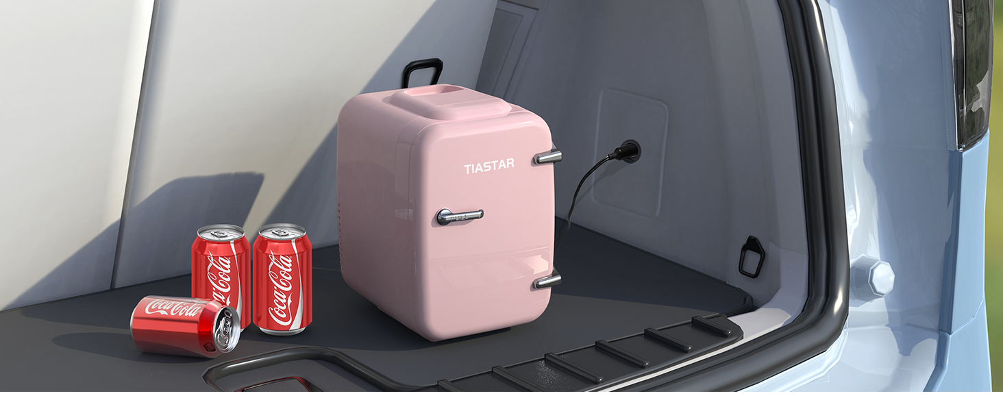 Mini Fridge