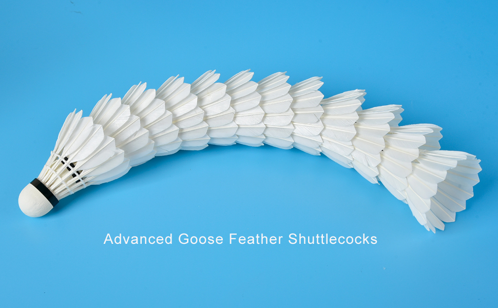 Professional Shuttlecocks Badminton Goose Feather Shuttles with Great Durability
