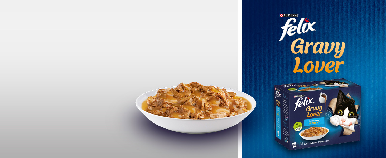 irrisistably tasty; AGAIL; purina; felix; gravy lover