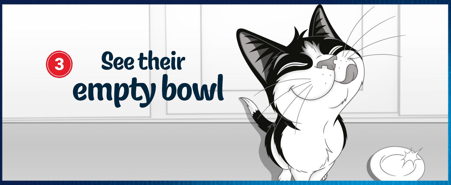 purina; felix; irresistable