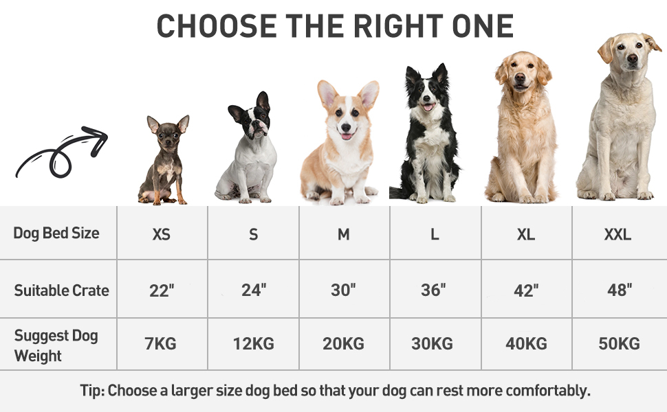 washable dog crate bed