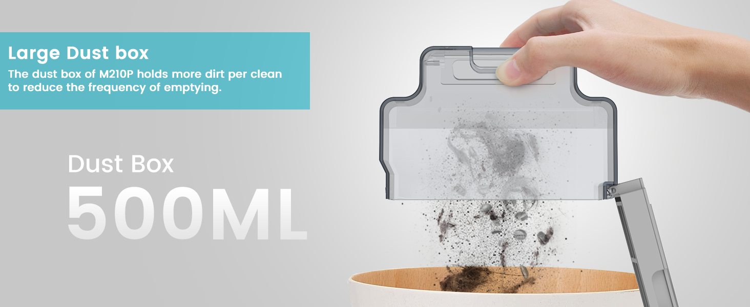 Large Dust Box