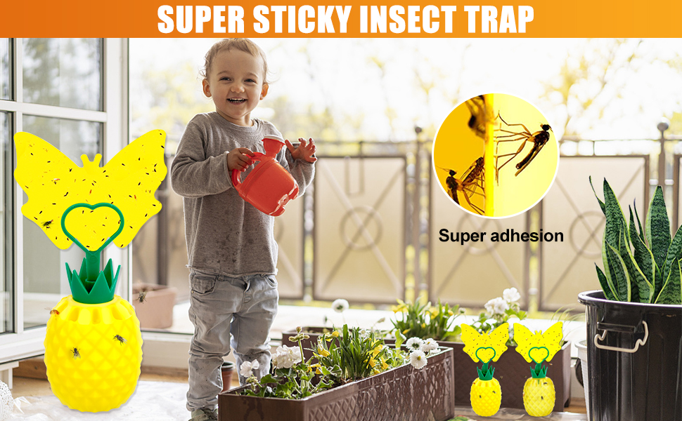 fruit fly catcher