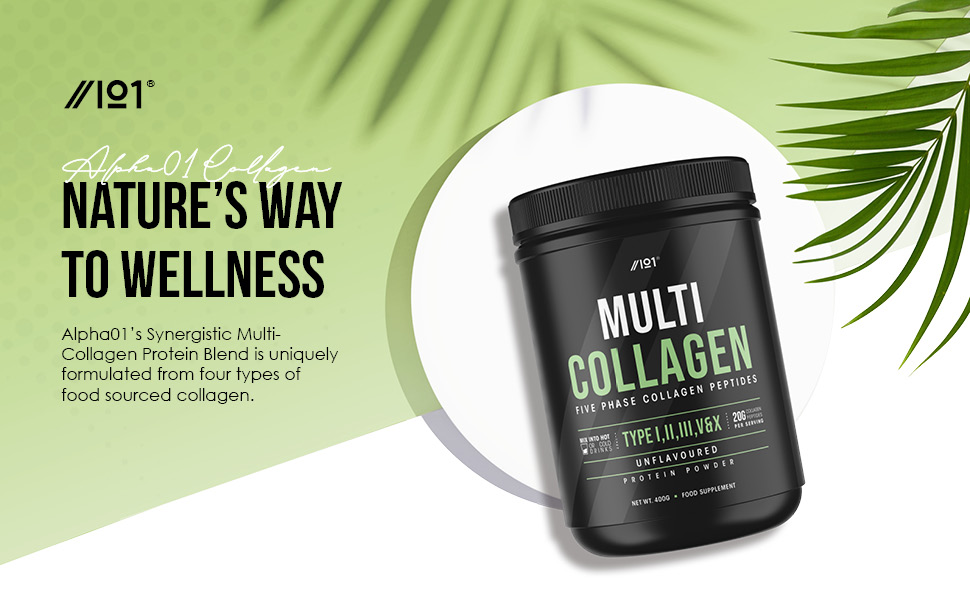 Alpha01 Multi Collagen Protein Powder Mix Drink Unflavoured, 5 Types, Grass-Fed, 20g