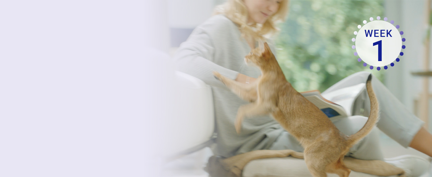PURINA ONE WEEK 1 BIFENSIS