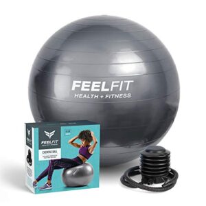 Vivo Technologies Exercise Gym Ball