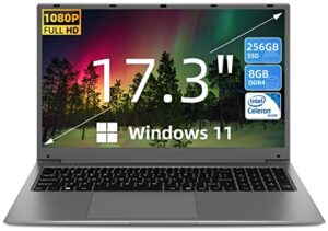 SGIN 17.3 Inch Laptop Windows 11 8GB DDR4 256GB SSD (TF 512GB)