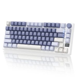 RK ROYAL KLUDGE M75 Mechanical Keyboard