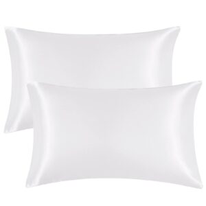 EHEYCIGA Satin Pillow Cases 2 Pack White