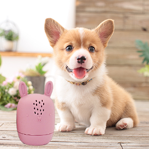 bath toy