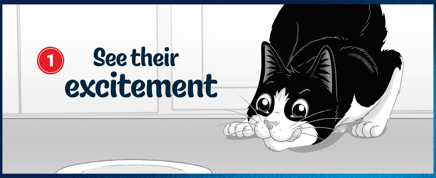 purina; felix; irresistable